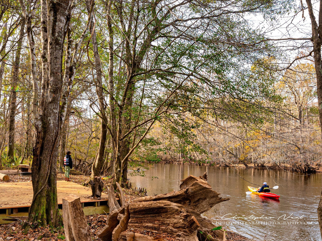 FORevR-佛罗伦萨必去景点