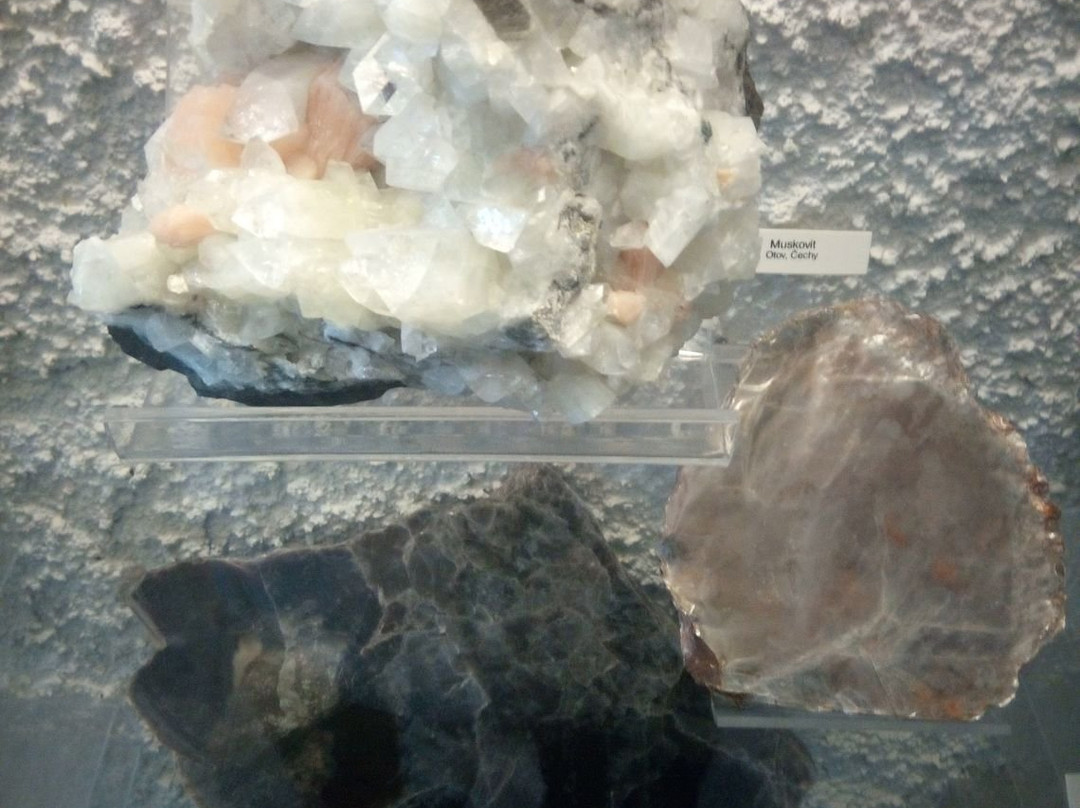 Slovak National Museum (Slovenske narodne muzeum)-布拉迪斯拉发必去景点