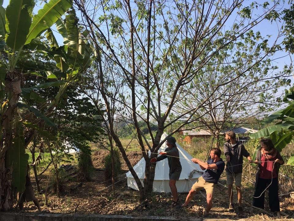 Pai Seedlings Foundation FARM景点图片