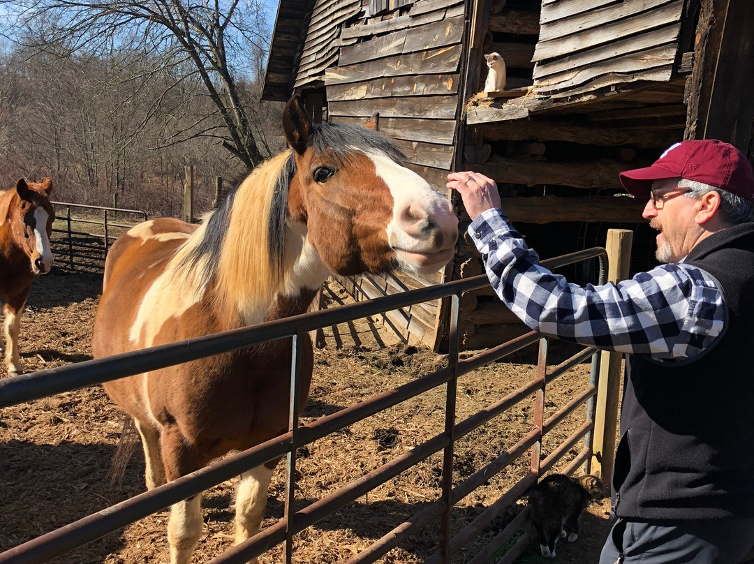 Belle Meade Bed and Breakfast主图