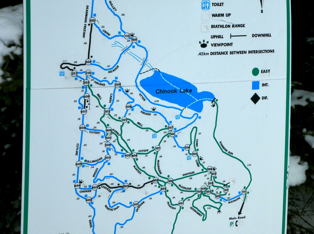 Allison Lake Cross Country Ski Trails-科尔曼必去景点