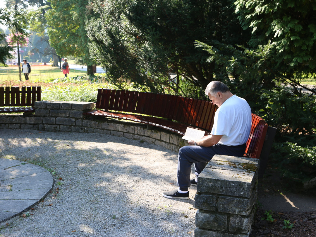 Kupelny park-Bardejovske Kupele必去景点