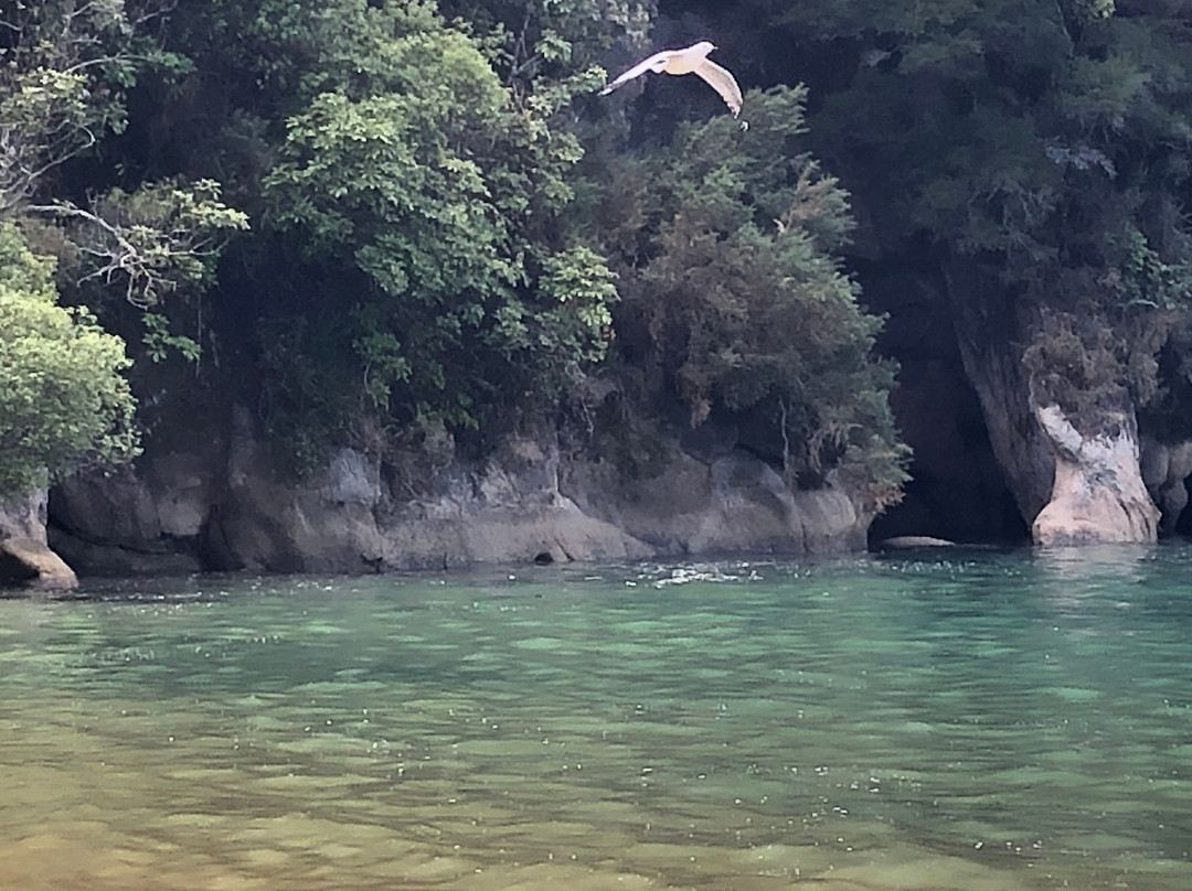 Kaiteriteri Kayaks-凯特里特里必去景点