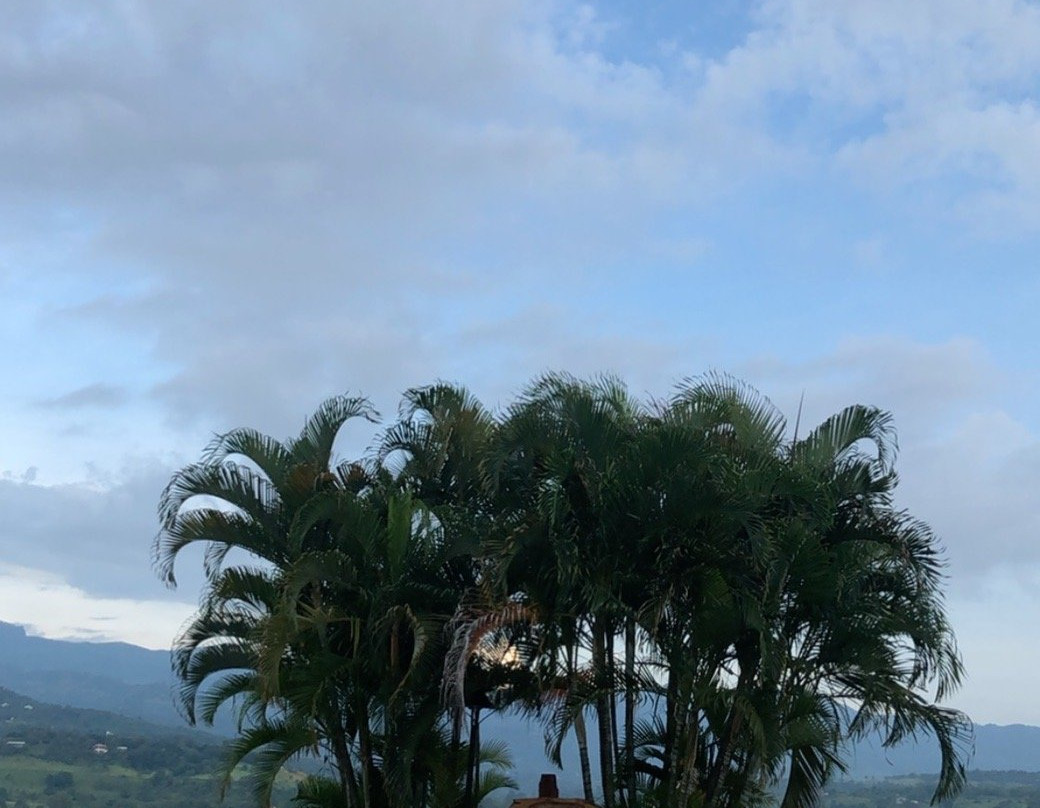 The Splendour Country Club主图