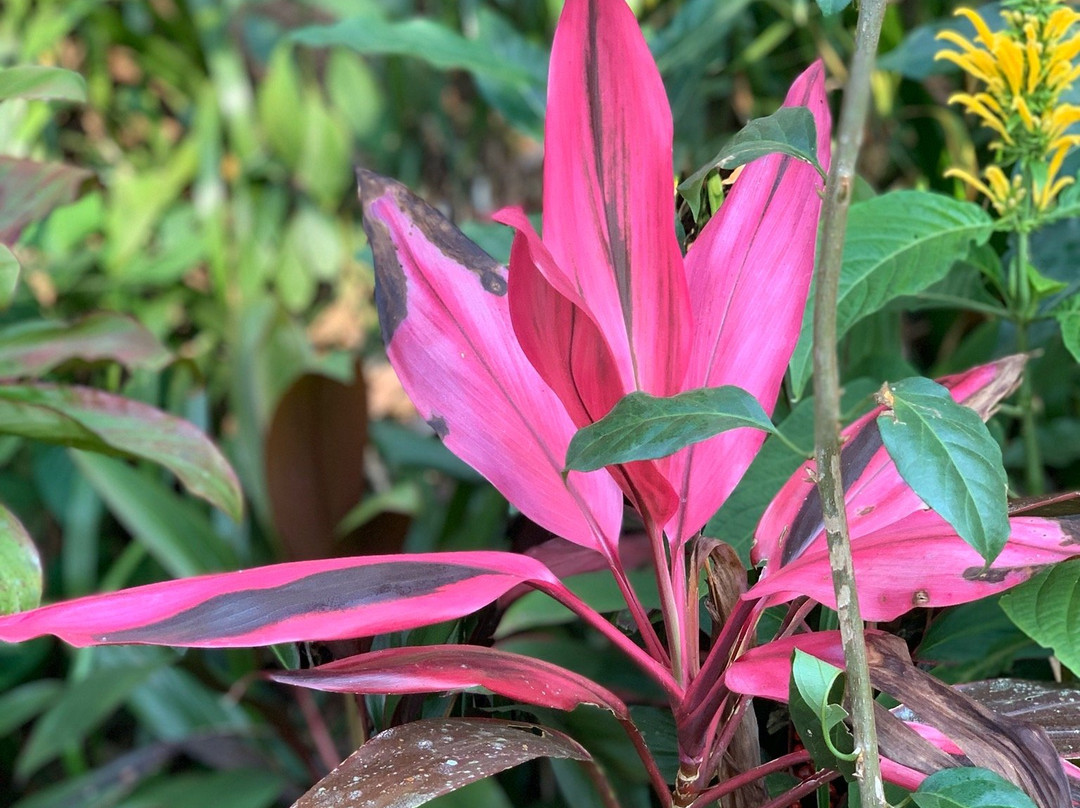 Comfort Homestay - Victory Home主图