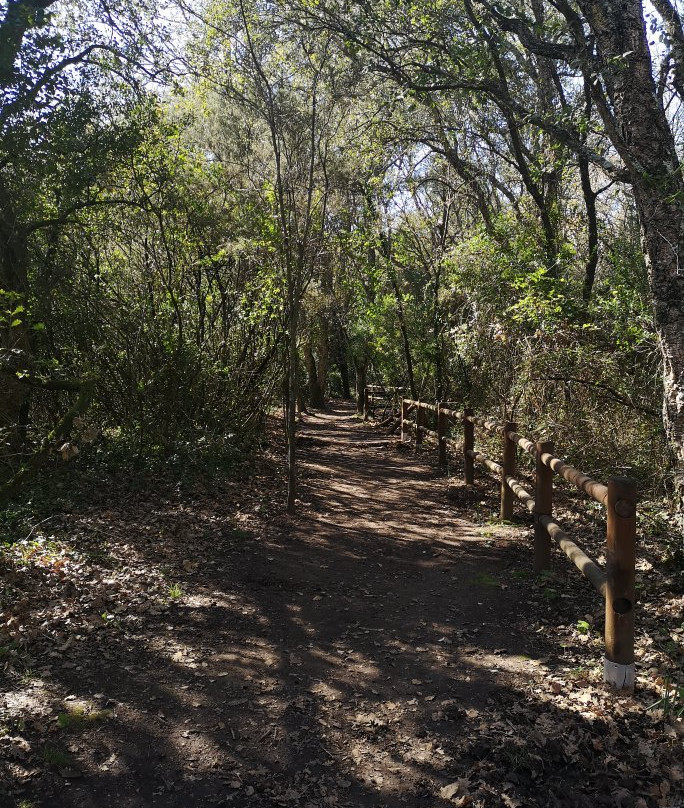 Parco Di Gianola E Monte Di Scauri-Formia必去景点