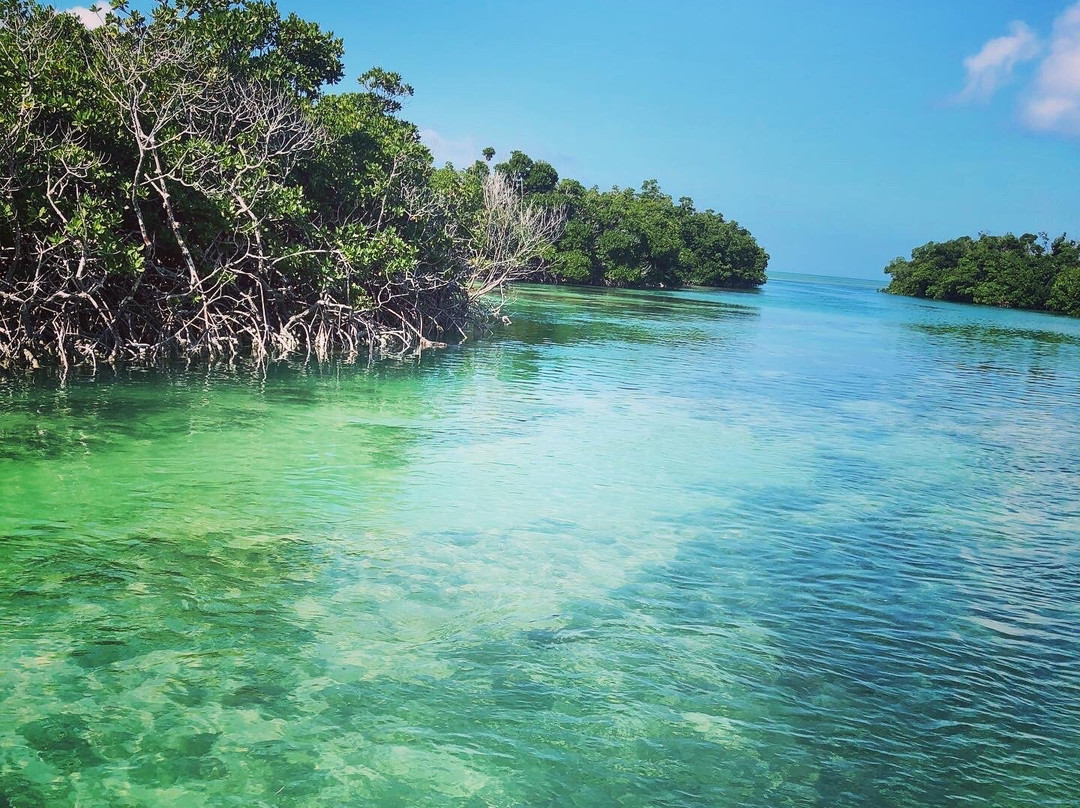 Aquaholics Charters-基韦斯特必去景点