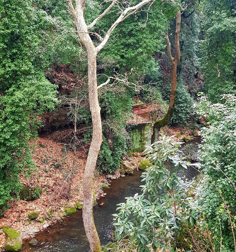 Gorge of Vouraikos-卡拉夫里塔必去景点