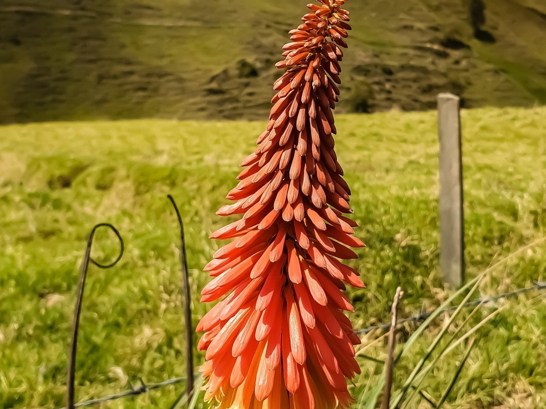Iglesia de San Felix-Salamina必去景点