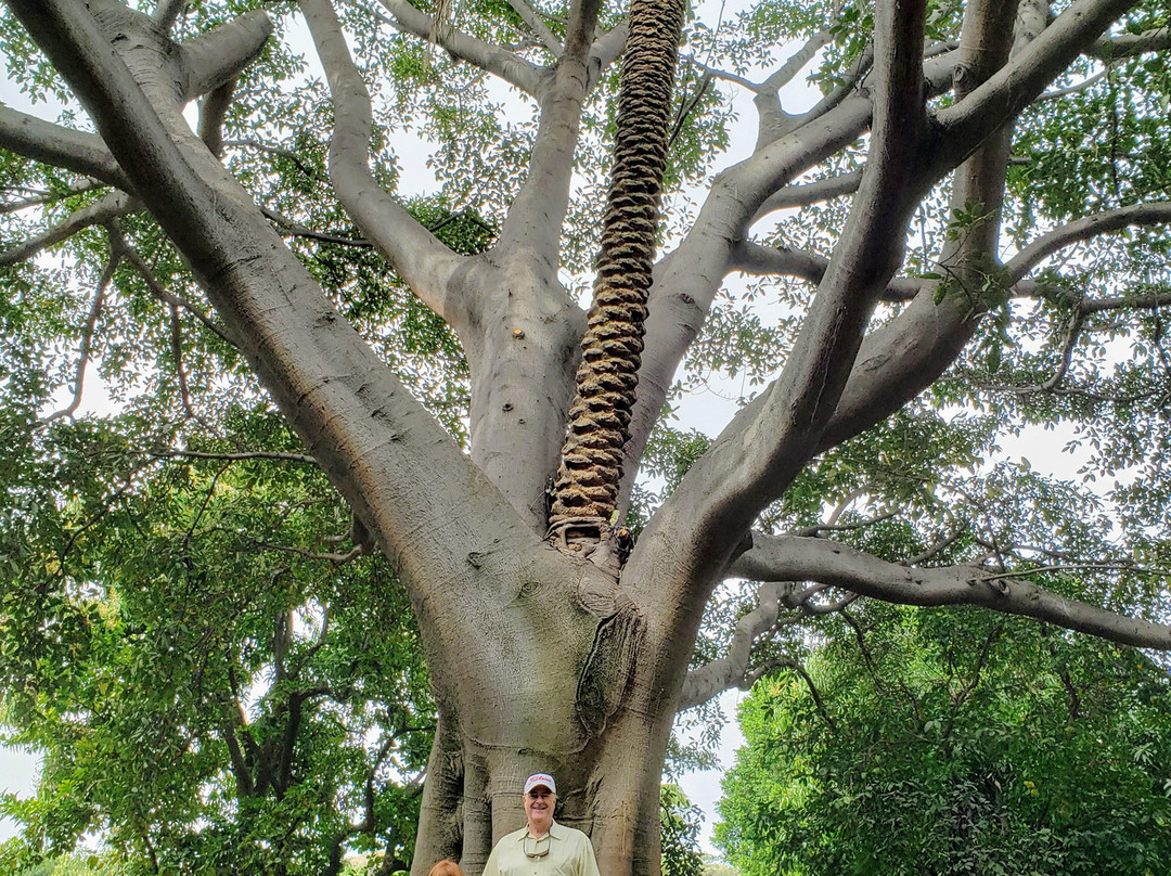 Hacienda El Centenario-特基拉必去景点