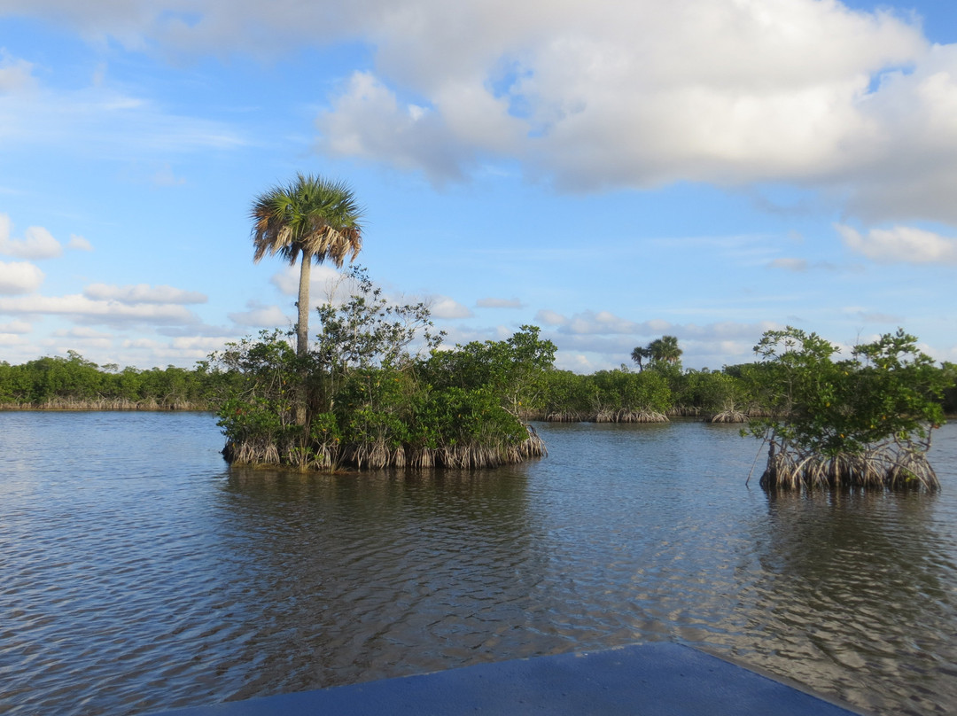 Wooten's Everglades Airboat Tour景点图片