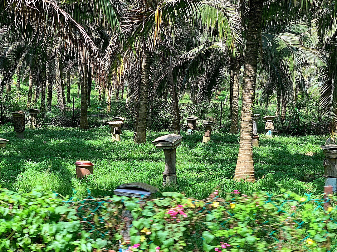 Selangor Fruits Valley-万挠必去景点