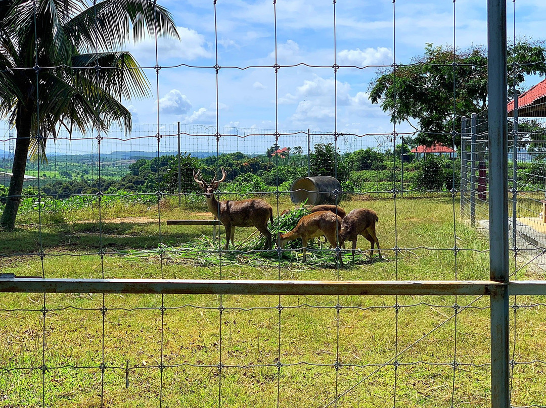 Selangor Fruits Valley-万挠必去景点