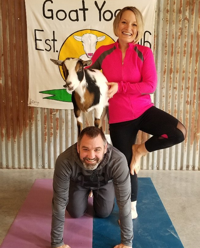 Galena Goat Yoga-加利纳必去景点