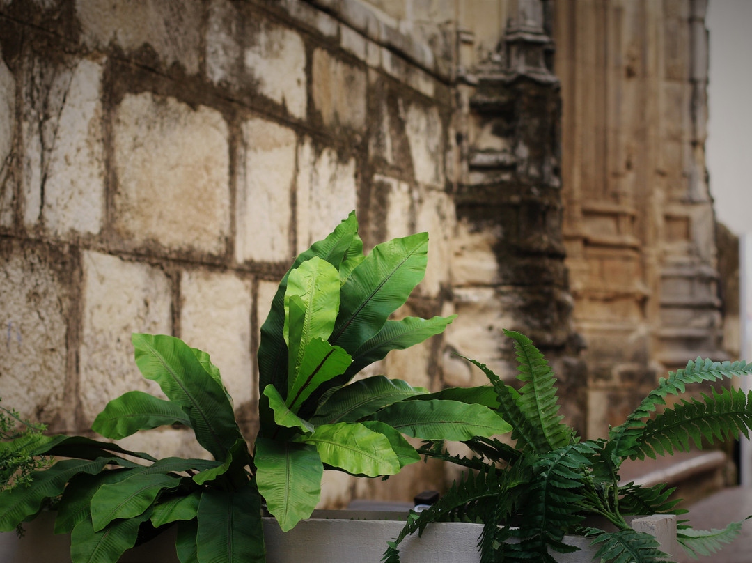 Church of San Mateo-卢塞纳必去景点