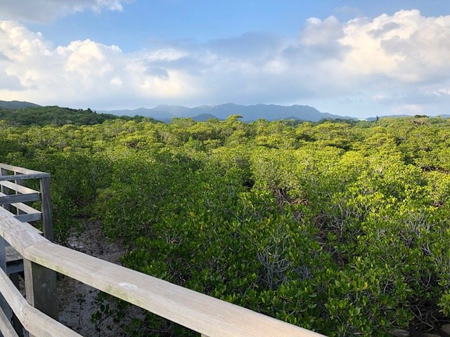 Sakishimasuonoki Gunraku景点图片