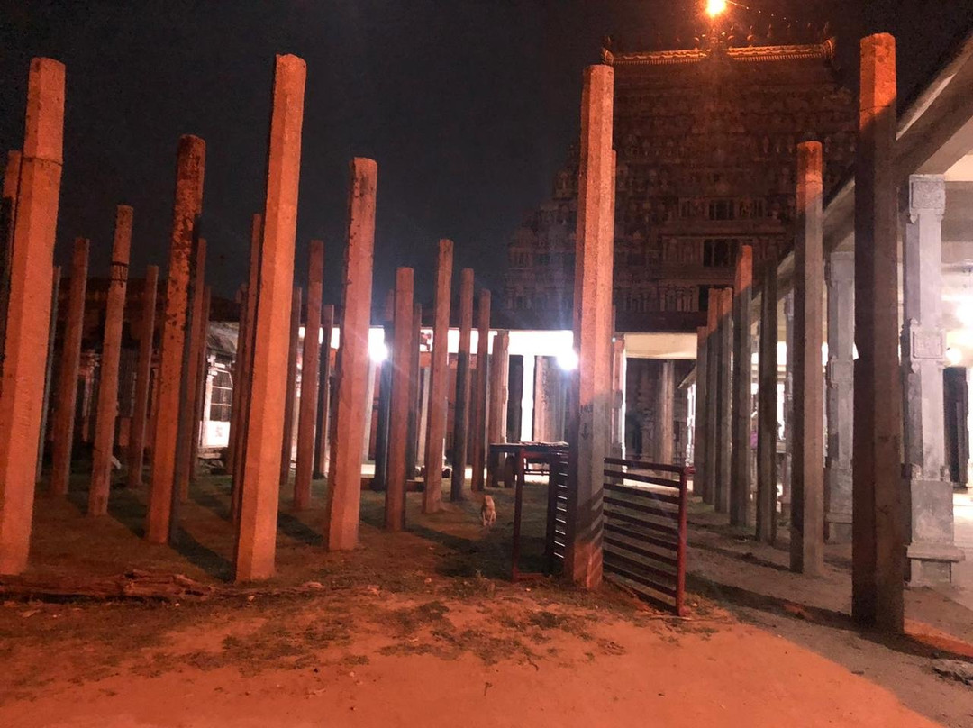 Thyagarajaswamy Temple景点图片