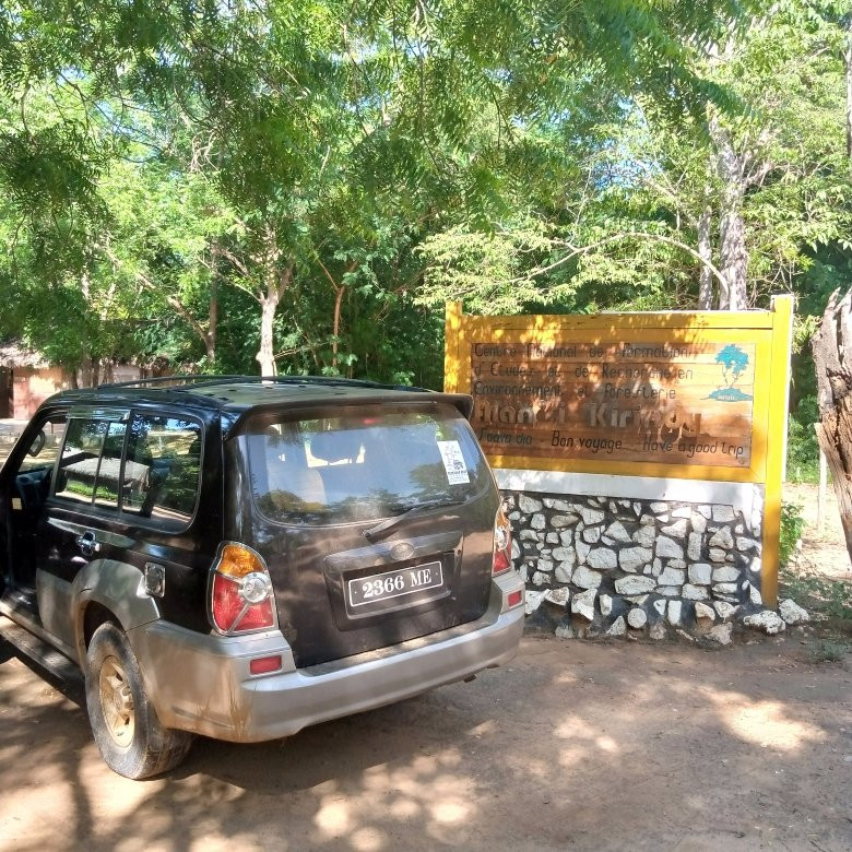 Kirindy Forest Morondava Madagascar景点图片