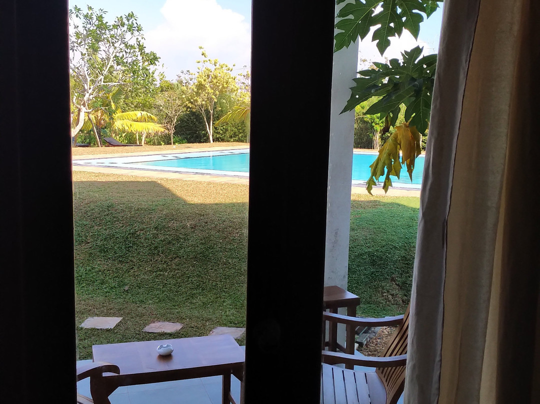 Silent Garden All Meals Treatments主图