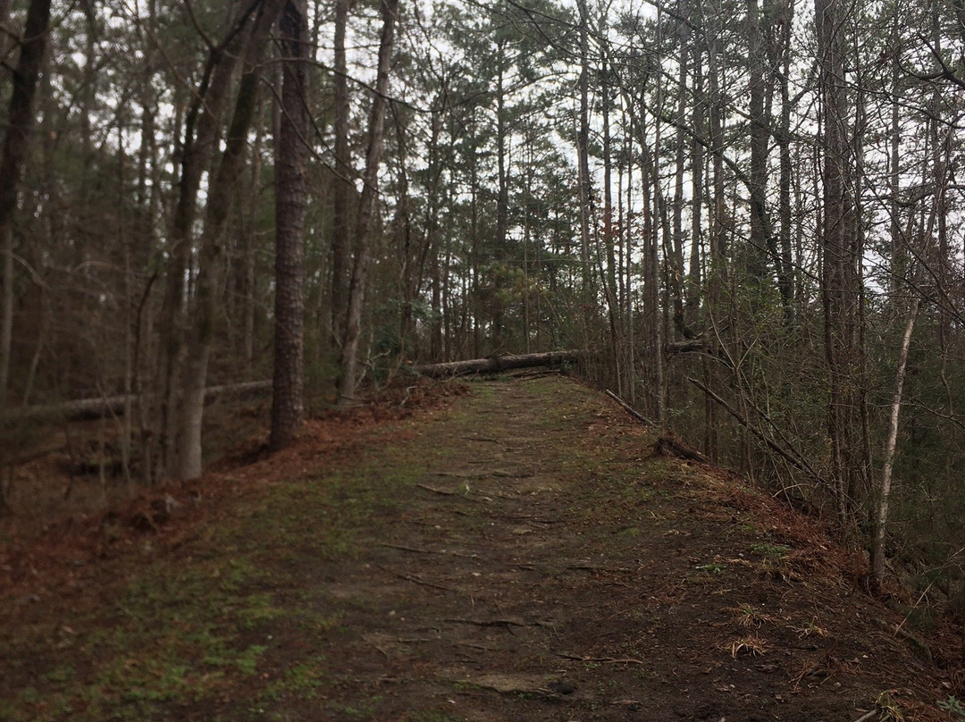 Haralson Mill Bridge-Conyers必去景点