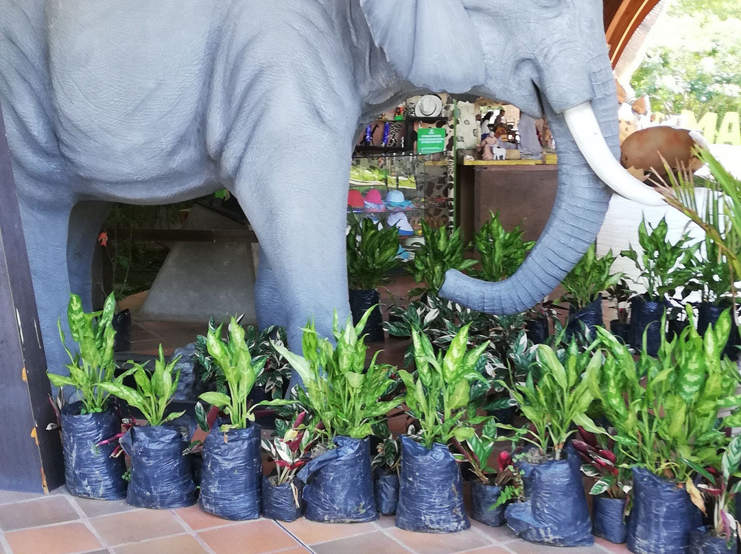 Bioparque Ukumarí-佩雷拉必去景点