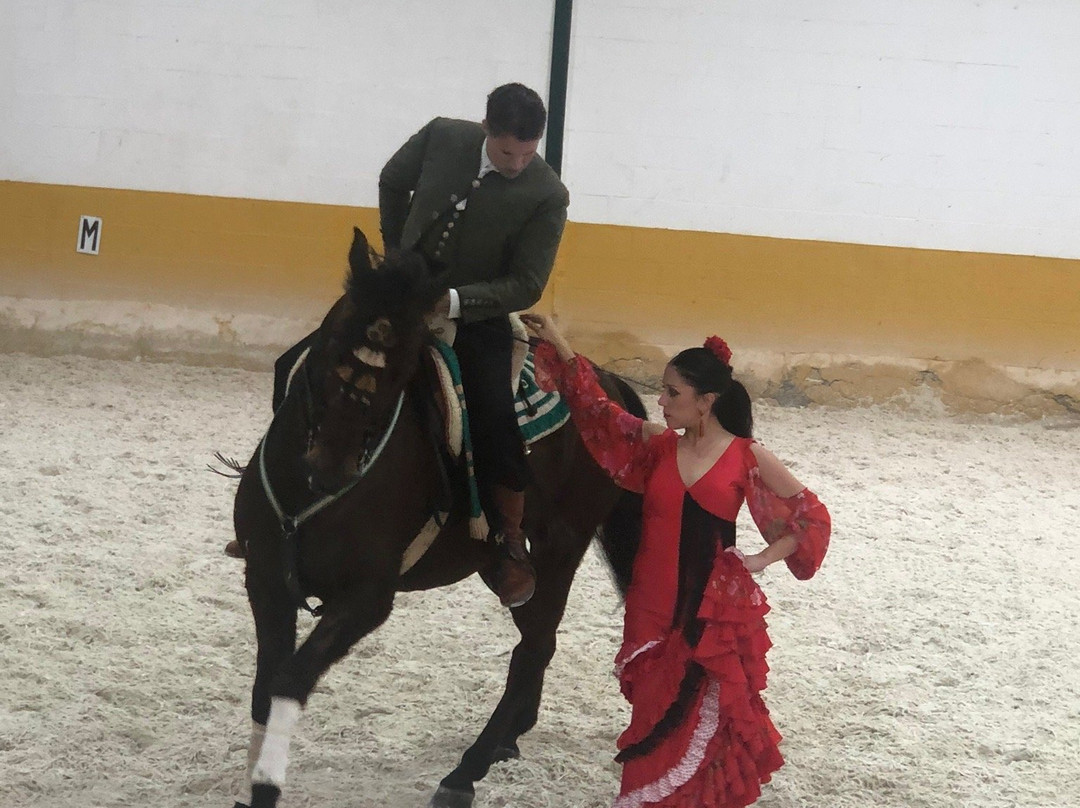Ritmo a Caballo & Andalusian Night-托雷莫里诺斯必去景点