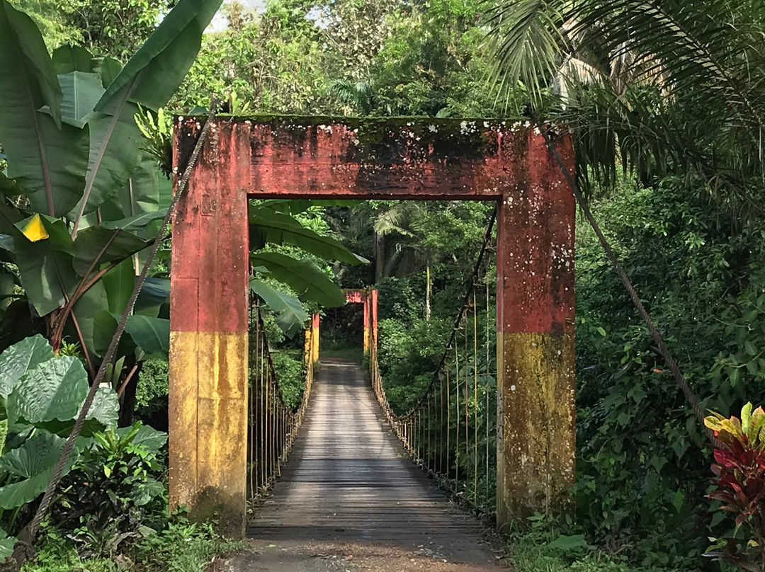 La Isla Hosteria主图