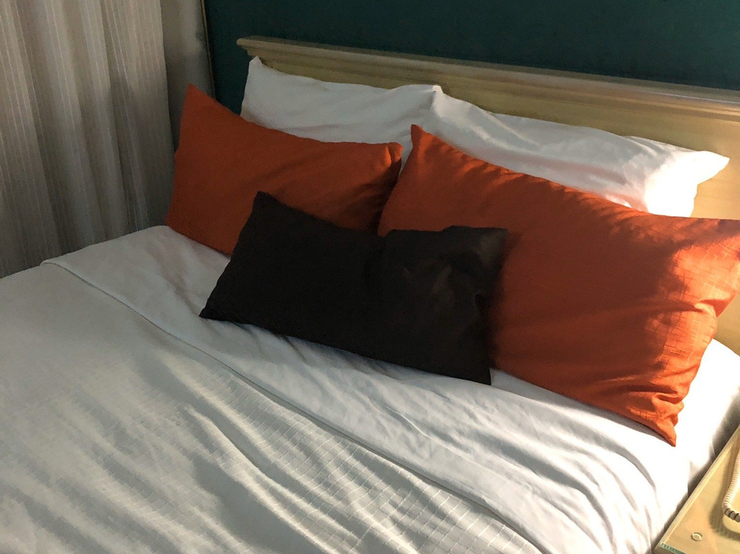 Hotel Piedra Alta主图