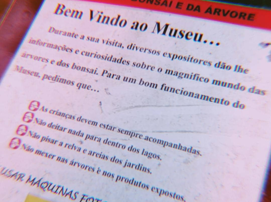 Zen Museu do Bonsai主图