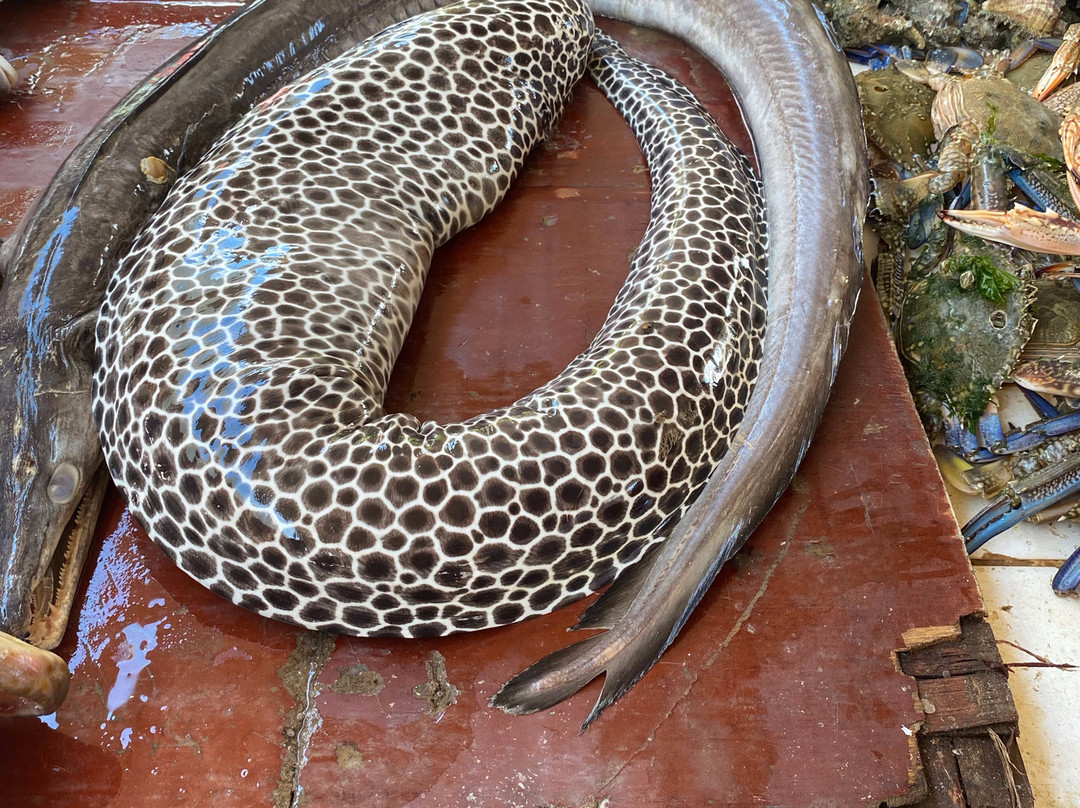 Kivukoni Fish Market-Dar es Salaam必去景点