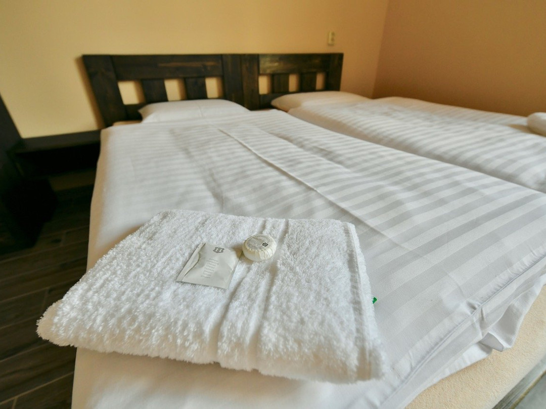 Hotel Fridrich主图