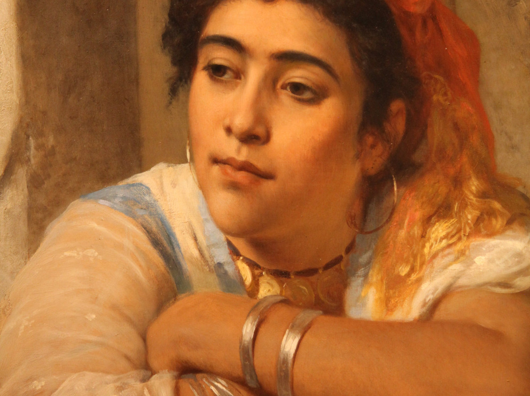 Musee d'Art et d'Histoire景点图片