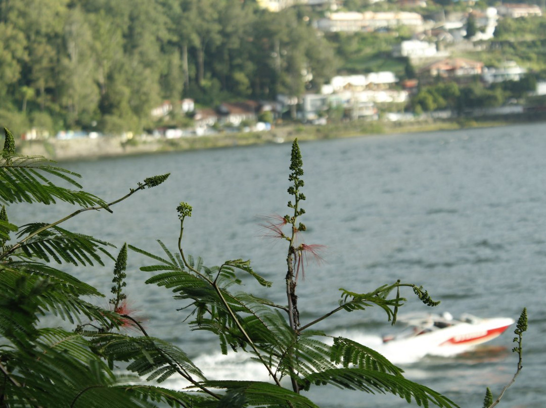 Sarangan Lake景点图片