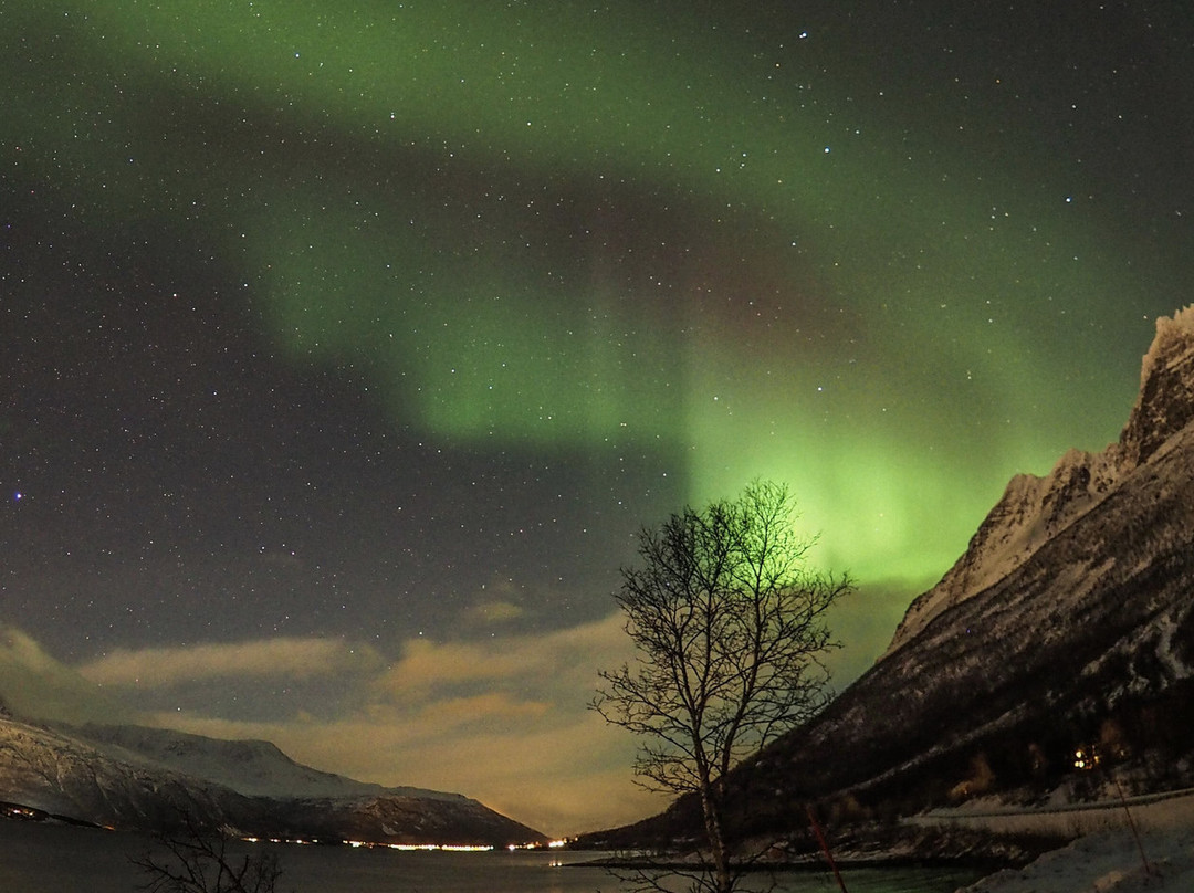 Tromso Guide-特罗姆瑟必去景点
