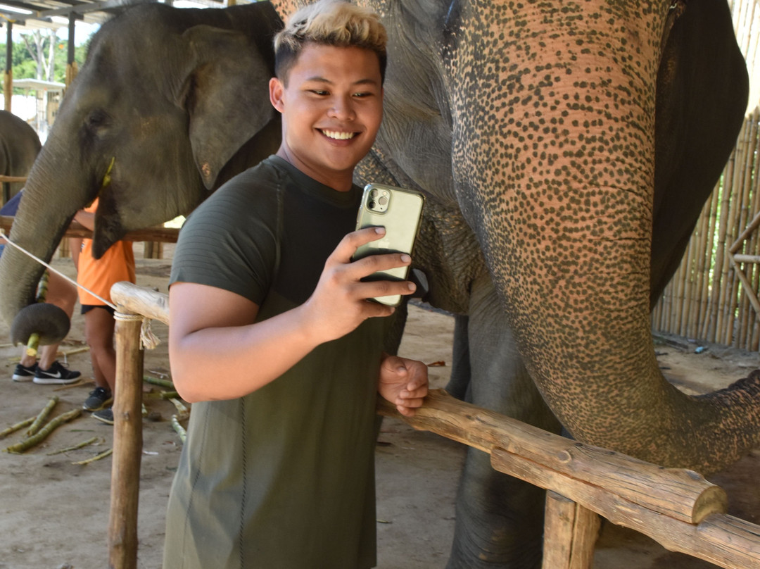 Phuket Elephant Sanctuary-普吉岛必去景点