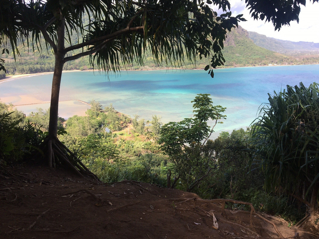 Crouching Lion Trail-卡阿瓦必去景点