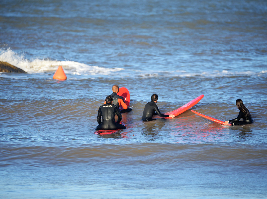 Go Surf TLV-特拉维夫必去景点