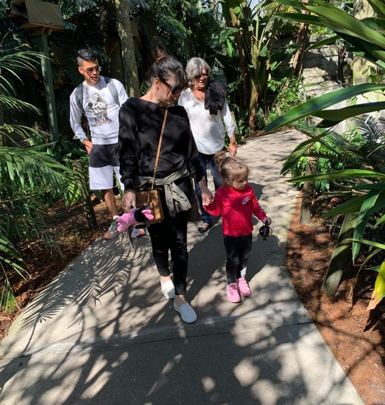 罗瑞公园动物园-坦帕必去景点