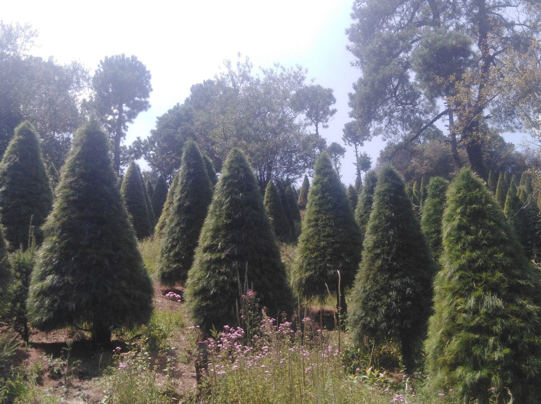 Rancho Didáctico La Poza Del Indio-墨西哥城必去景点