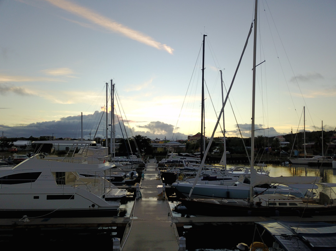 Virgin Gorda Yacht Harbour景点图片