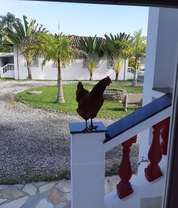 Jabaquara Beach Resort主图