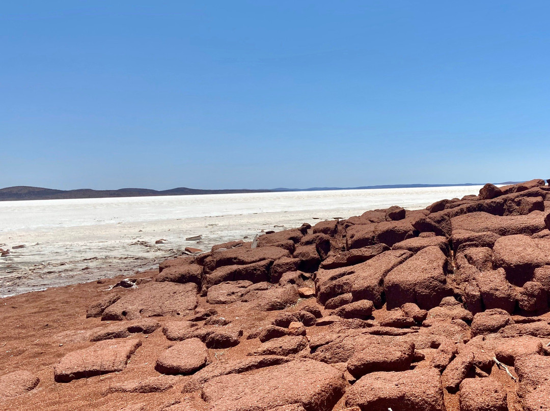 Gawler Ranges Wilderness Safari Day Tour景点图片