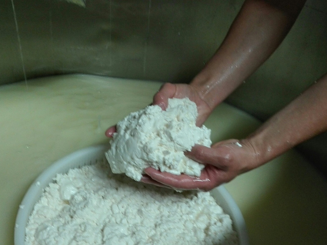 Azienda Agricola Bergonzoni-Molinella必去景点