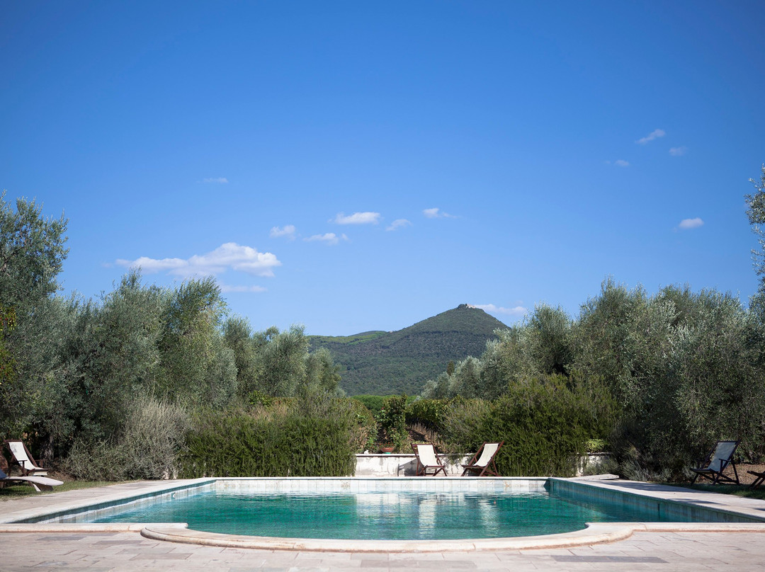 Chiappini, Agriturismo Tra gli Ulivi