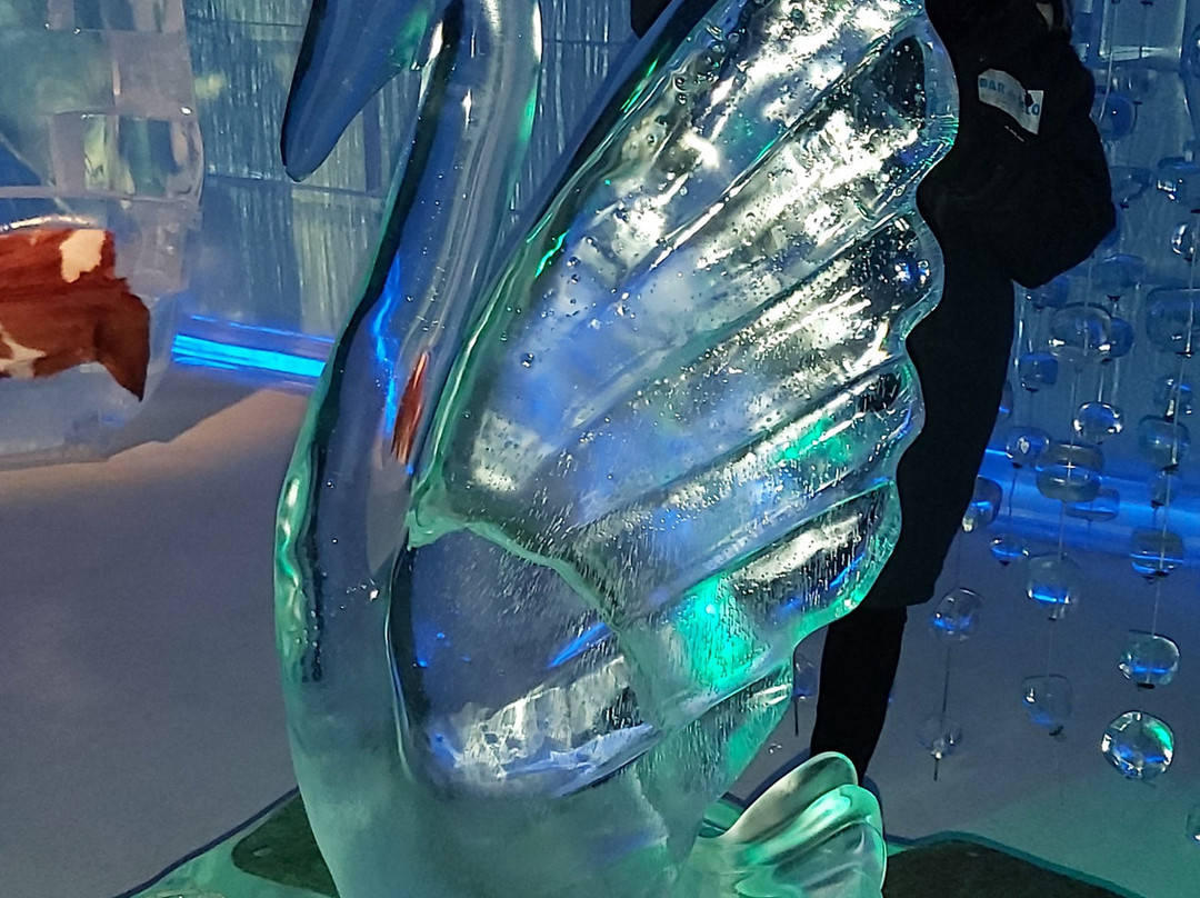 Bar de Gelo Viseu景点图片