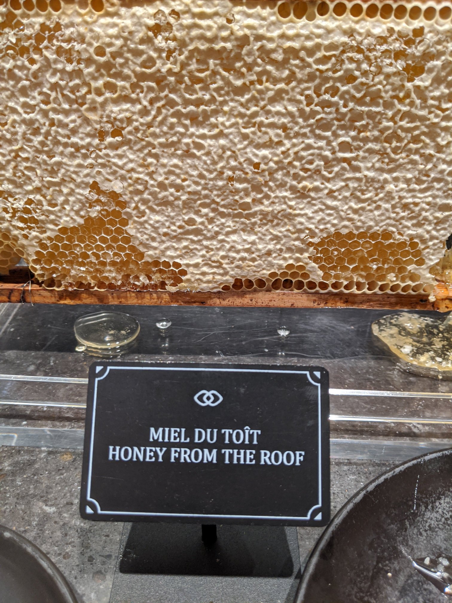 布鲁塞尔欧洲索菲特酒店-餐饮