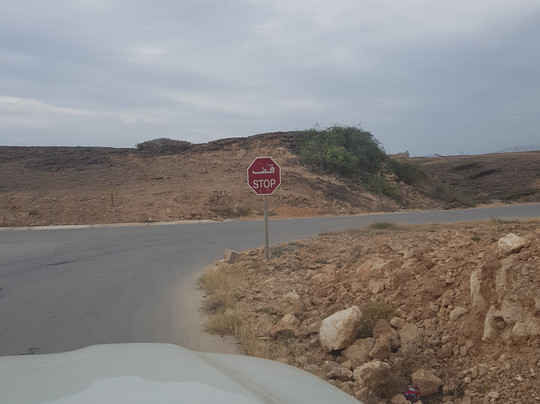 Salalahexcursions-塞拉莱必去景点