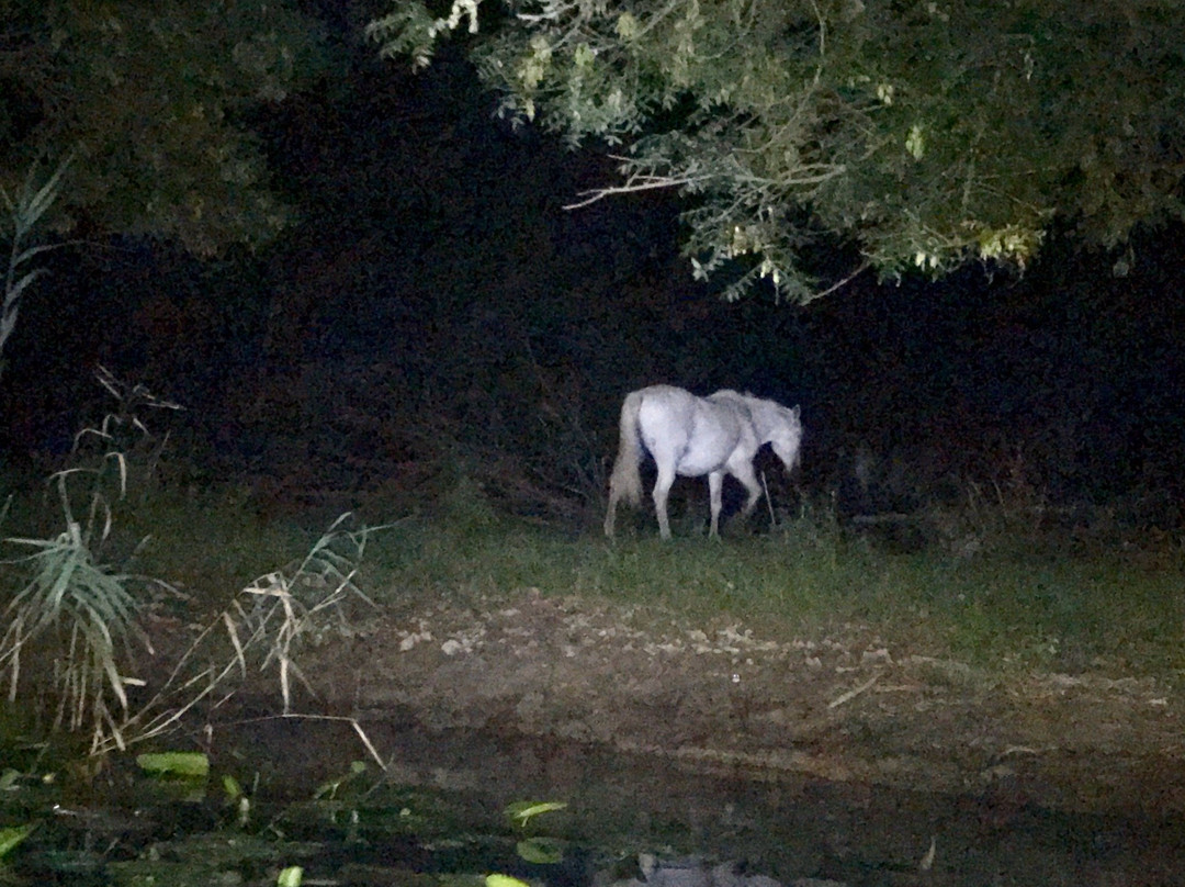 ATV4.me-Podgorica Municipality必去景点