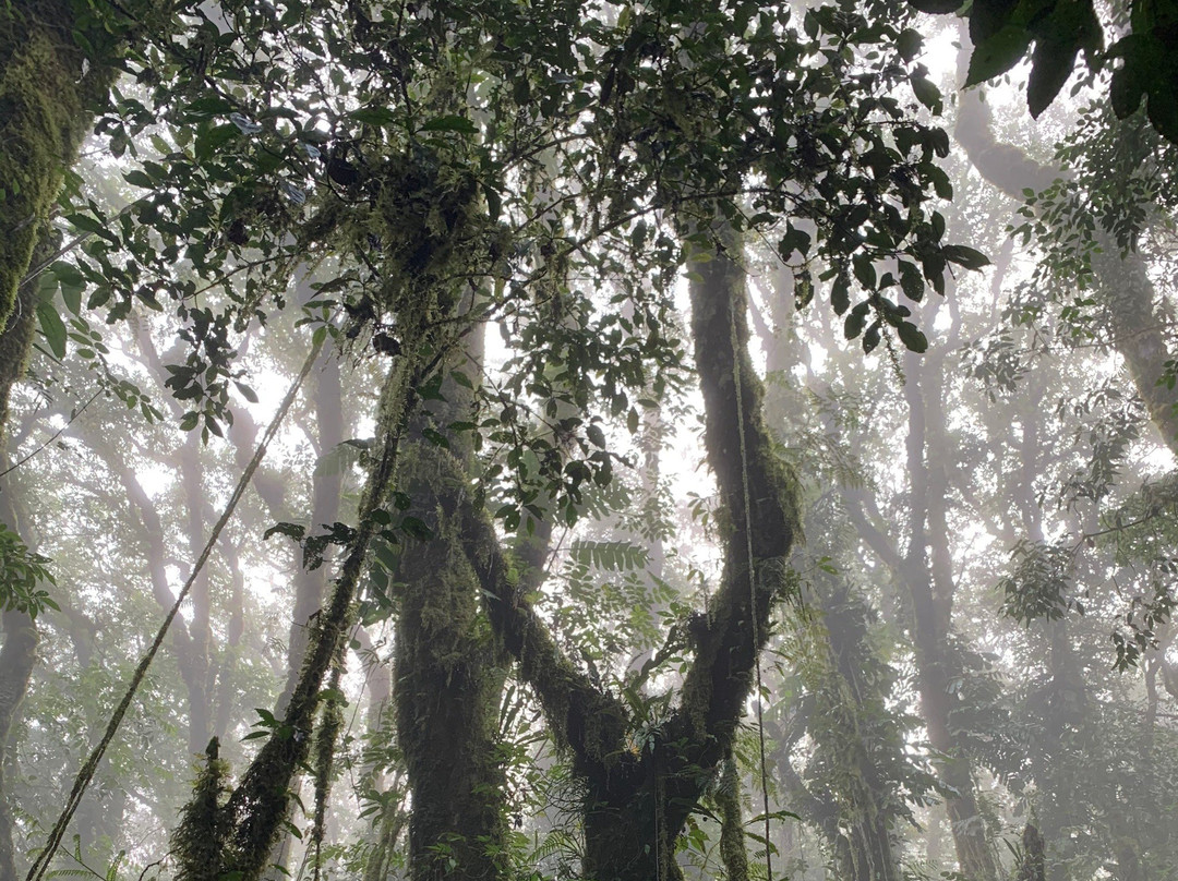 Mt Hibok-Hibok-卡米金省必去景点