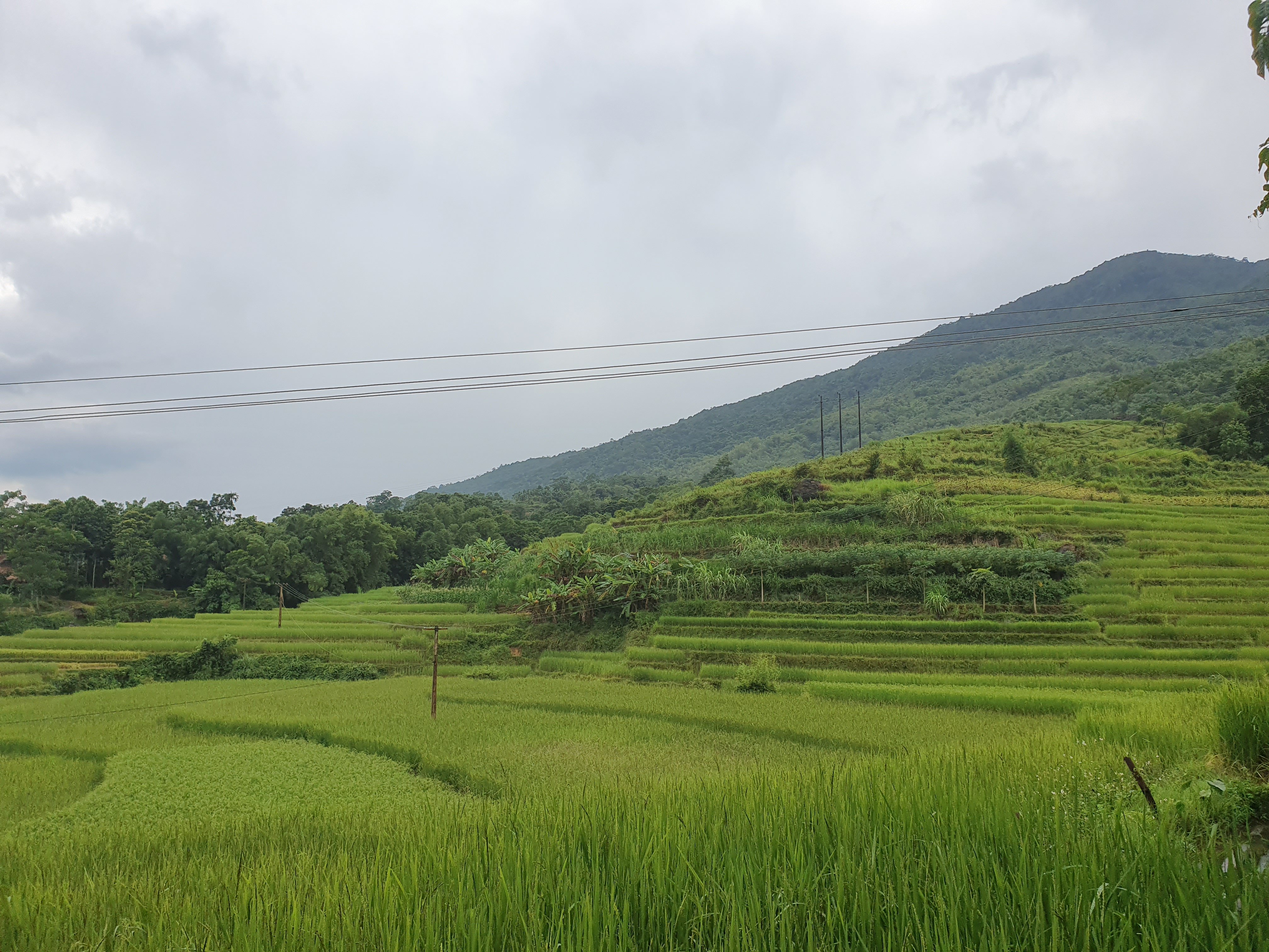Mai Chau Home-官方